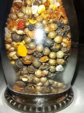 Pepper in a grinder Stock Photos