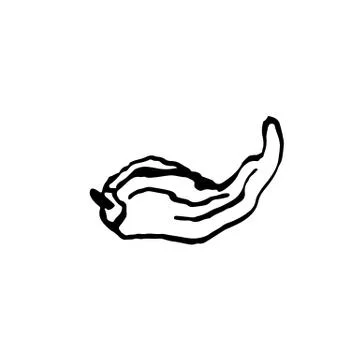 Pepper grunge icon. Chilli brush ink illustration. Stock Illustration