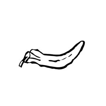 Pepper grunge icon. Chilli brush ink illustration. Stock Illustration