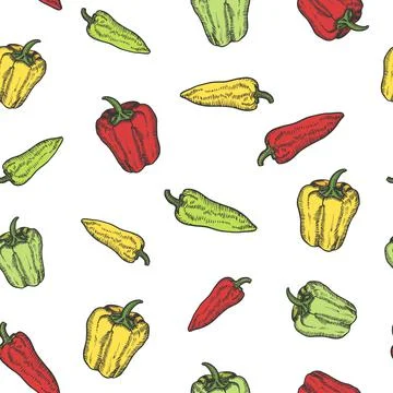 Pepper hand drawn background seamless pattern. Vintage background. Vector Stock Illustration