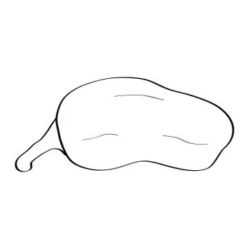 Pepper. Hand drawn doodle icon. Vector black and white illustration isolated  Stock Illustration