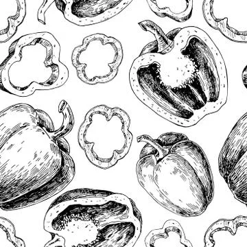 Pepper hand drawn vector seamless pattern. Vegetable engraved style Illustrazione stock