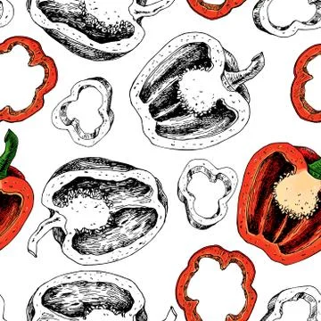 Pepper hand drawn vector seamless pattern. Vegetable engraved artistic styl.. Stock Illustration