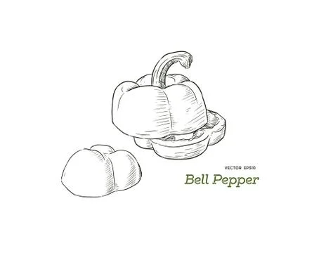 Pepper hand drawn vector set. Stock Illustration