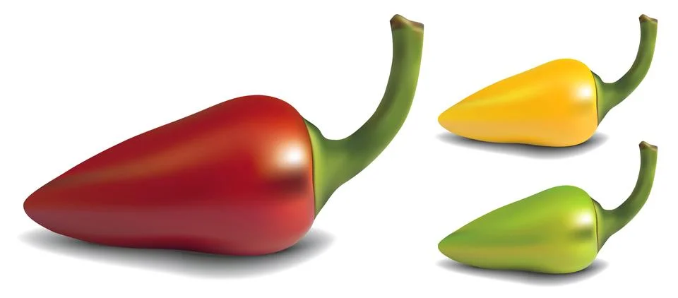 Pepper Stock Illustration