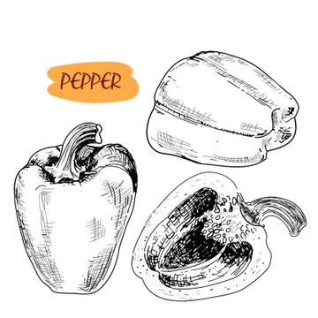 Pepper Stock Illustration