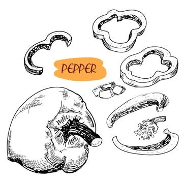 Pepper Stock Illustration