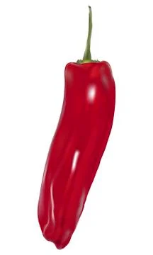 Pepper Stock Illustration