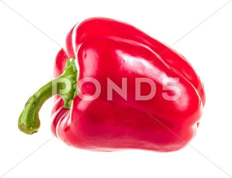 Pepper isolated on white background Stock Photos