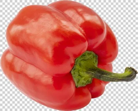 Pepper Isolated on a White Background Stock Photos