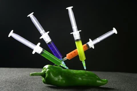 Pepper manipulation with syringes Stock Photos