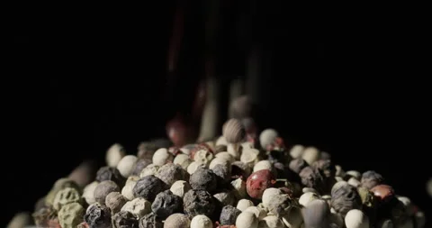 Pepper is one of the most popular spices in the world. Peppercorns fall down on Stock Footage 252498843