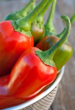 Pepper Stock Photos