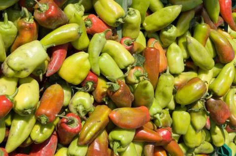 Pepper Stock Photos