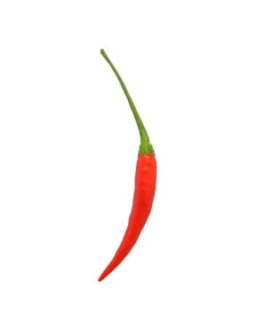 Pepper 스톡 사진