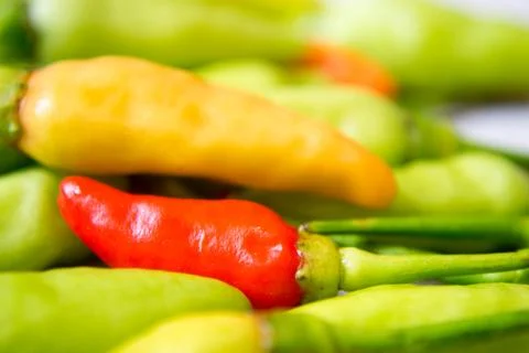 Pepper Stock Photos