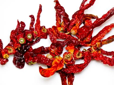 Pepper. 스톡 사진