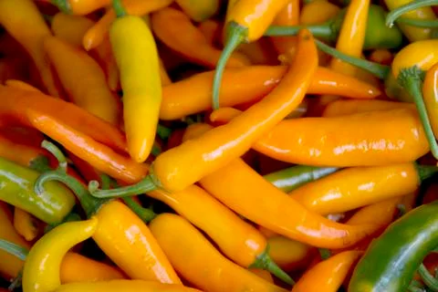 Pepper Stock Photos