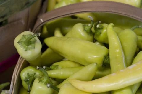 Pepper Stock Photos