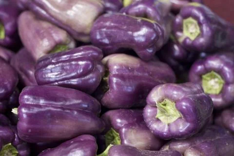 Pepper Stock Photos