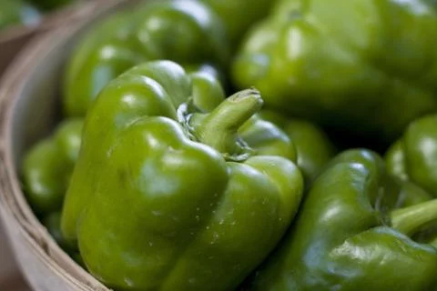 Pepper Foto stock