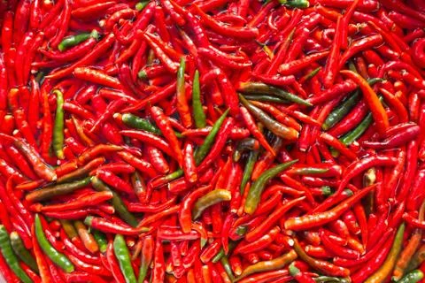 Pepper Stock Photos