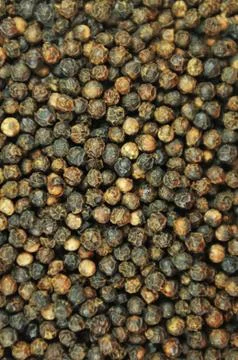 Pepper Stock Photos