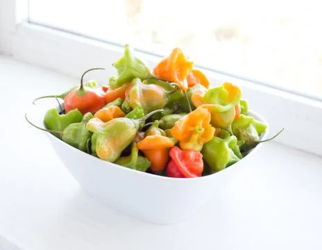 Pepper. Stock Photos