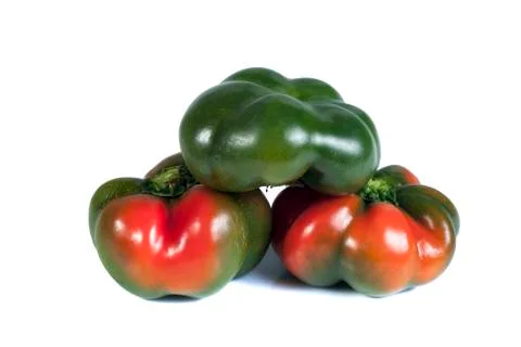 Pepper Foto stock