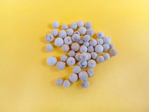 Pepper  Stock Photos