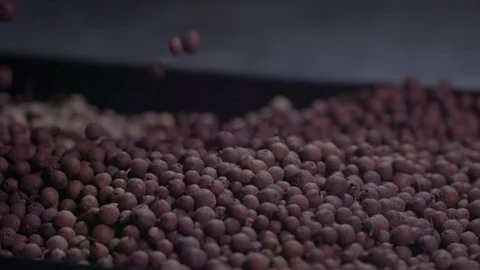 Pepper is poured from the hands, close-up Stock Footage 75240696