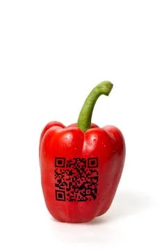 Pepper with qr code pepper with qr code Copyright: xZoonar.com/BorisxZerwa... 스톡 사진
