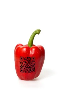 Pepper with qr code Stockfoto's