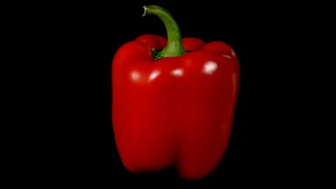 Pepper Rotating 库存影片 123919926