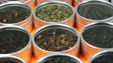 Pepper rotating on white background Stock Footage 25438953