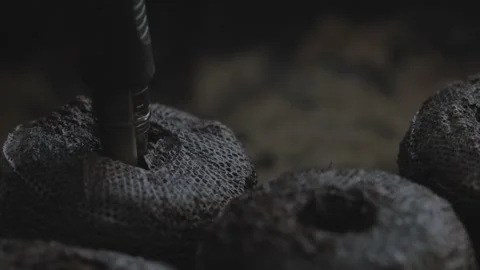 A Pepper Seed Being Planted in a Peat Pellet Stock Footage 195952761