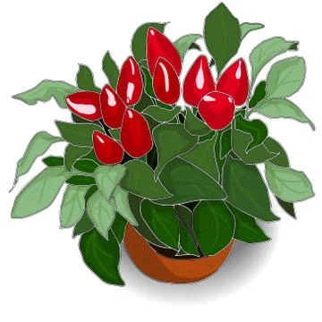 Pepper set Stock Illustration