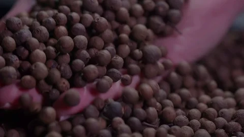Pepper slowly falling from the palm of a woman's hand, closeup. Video stock 126584658