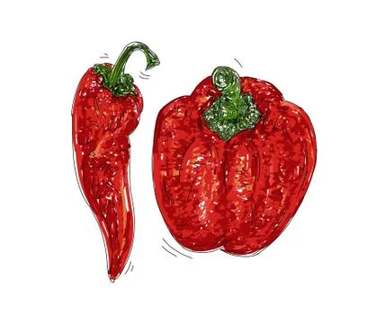 Pepper with spicy chili Stock Illustration