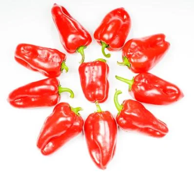 Pepper star 스톡 사진