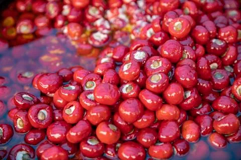 Pepper tomato Foto stock