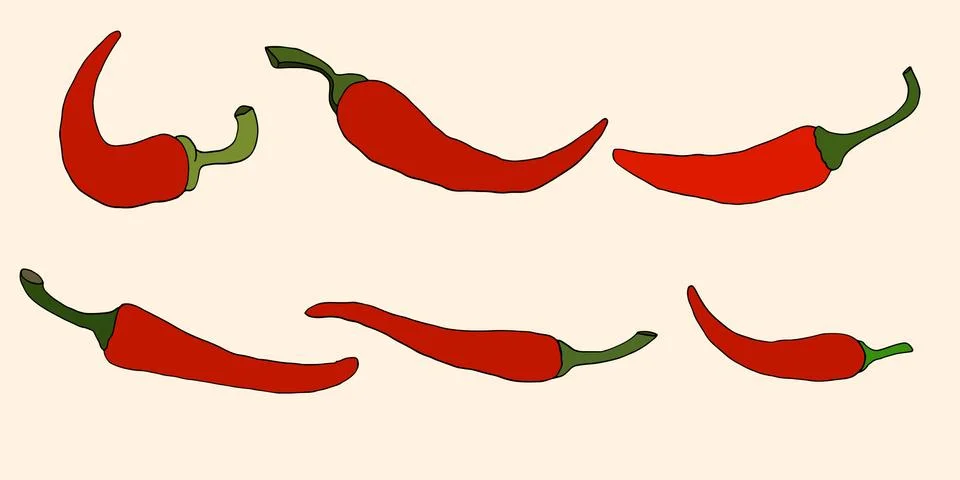 Pepper, vector illustration Stock Illustration