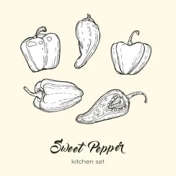 Pepper vector isolate set. Black white hand drawn illustration sweet bulgaria Stock Illustration