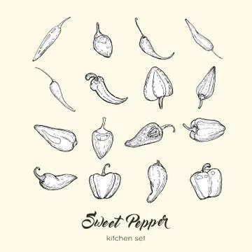 Pepper vector isolate set. Black white hand drawn illustration sweet bulgaria Stock Illustration