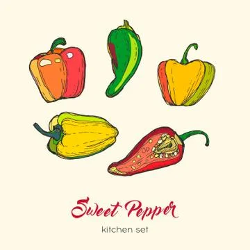 Pepper vector isolate set. Hand drawn illustration sweet bulgarian bell papri Stock Illustration