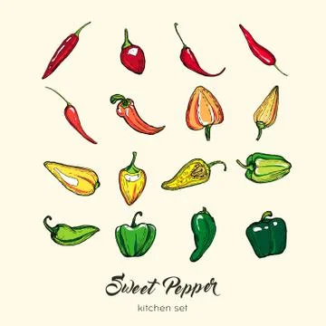 Pepper vector isolate set. Hand drawn illustration sweet bulgarian bell papri Stock Illustration