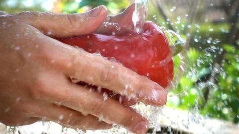 Pepper Washing Stock Footage 79892737