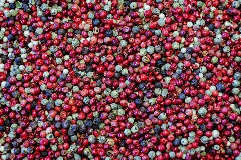 Peppercorn mix texture Stock Photos