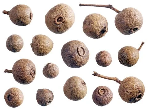 Peppercorn. Stock Photos