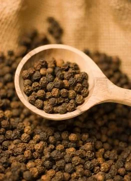 Peppercorns Stock Photos